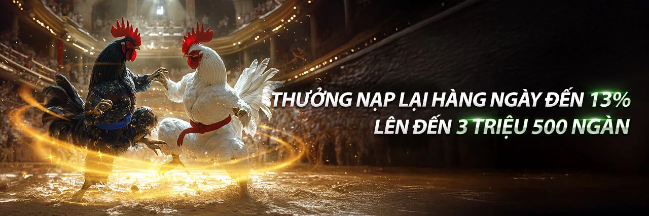 Khuyến Mãi n666 Hấp Dẫn Nhất
