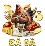 Sản phẩm đa dạng n666