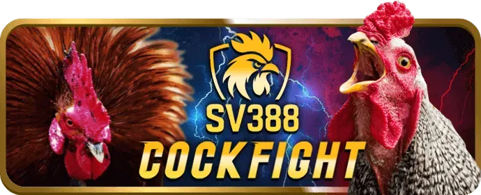 Ưu Đãi Độc Quyền n666